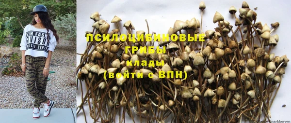 соль курить ск Арсеньев