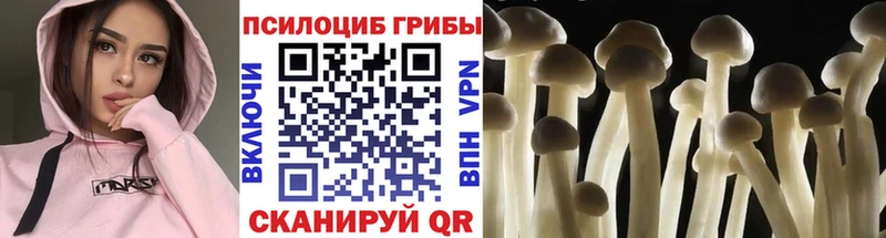 как найти закладки  Райчихинск  Псилоцибиновые грибы MAGIC MUSHROOMS 